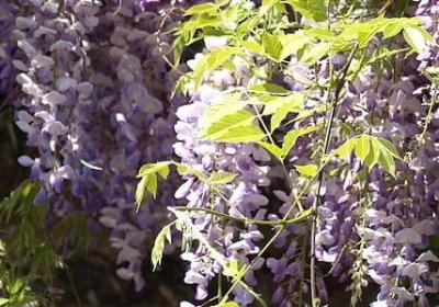 珍惜劳动成果的名言(热门60句)