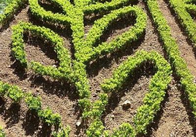 珍惜的名言警句(推荐100句)