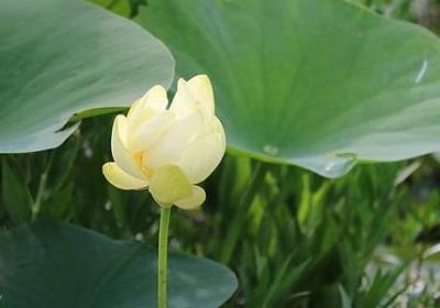 班级名言警句(推荐16句)