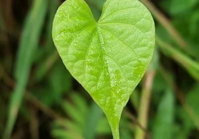 生日快乐的名言(合集21句)