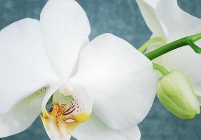 有关青春的名人名言(合集100句)