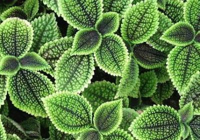 现代名言警句(热门40句)