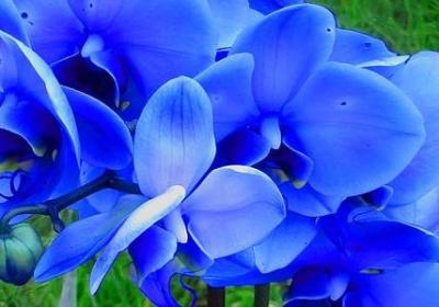 王进喜的名言(实用40句)