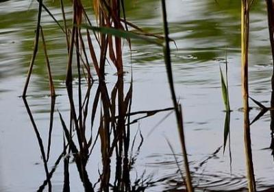 知行合一的名言(合集80句)