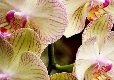 水浒传中的名言(实用50句)