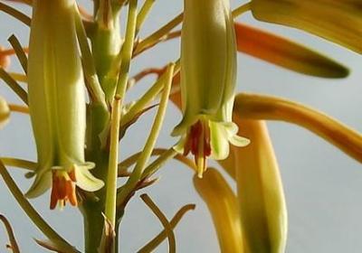 理想追求的名言(合集60句)