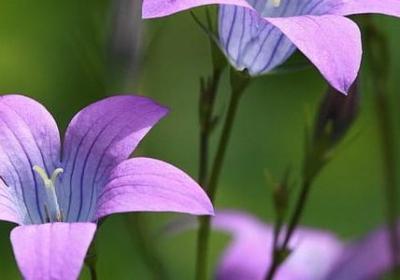 短句名人名言(实用98句)