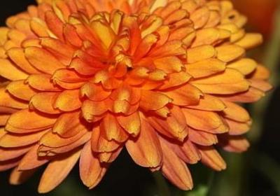 本杰明富兰克林名言(实用97句) 本杰明富兰克林名言(实用97句)