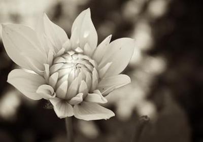 未来的名人名言(实用20句)