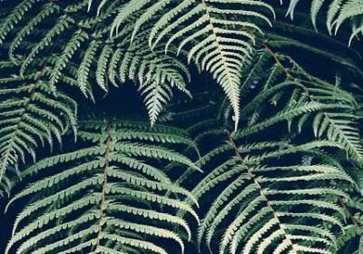 苏轼的名人名言(汇总20句)