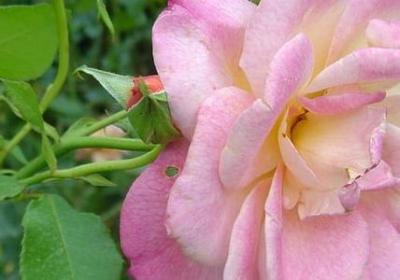 描写湖面平静的词语(41句)