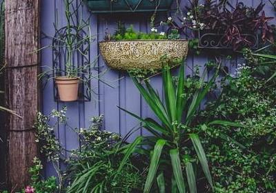 描述心里的词语(热门40句) 描述心里的词语(热门40句)