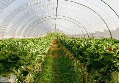 描述钓鱼人的心境词语(精选40句)