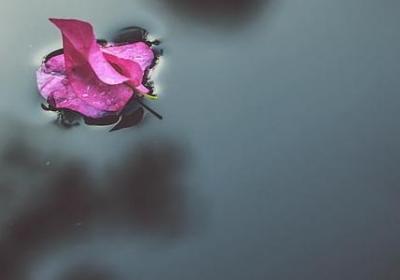 新婚祝福词语(优选60句)