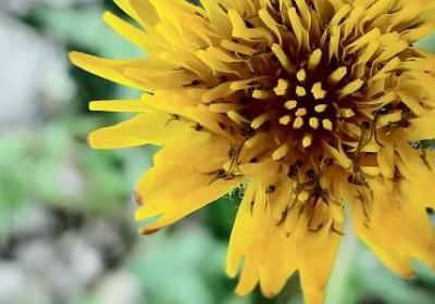 方字组词有哪些词语(必备30句) 方字组词有哪些词语(必备30句)