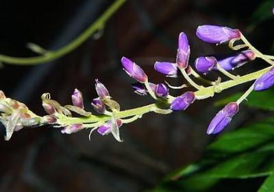 描写秋夜的词语(合集51句) 描写秋夜的词语(合集51句)