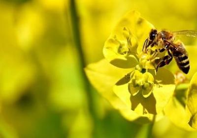 插组词语有哪些(共35句) 插组词语有哪些(共35句)