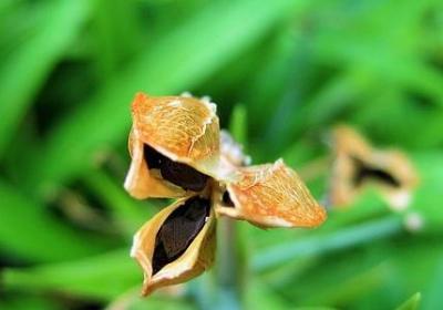 景色的词语2字(通用40句) 景色的词语2字(通用40句)