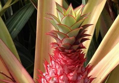 晶的四字词语(合集62句)