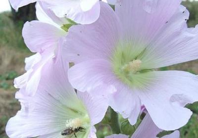 正反四字词语(热门10句)