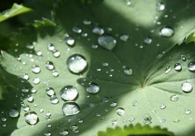 有息息的词语(汇总40句)