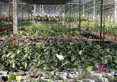 气得直什么填词语(热门40句)