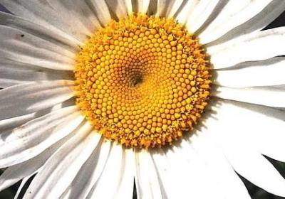 最简单的词语(优选50句)