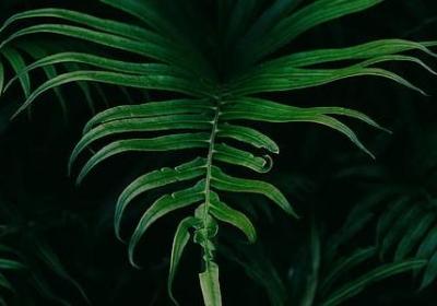 灿烂的什么填空词语(20句)