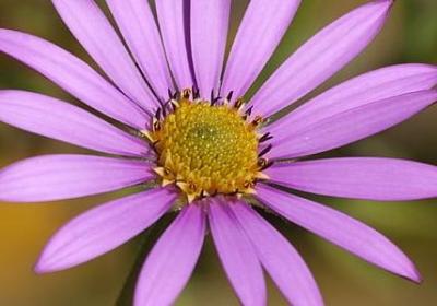 洪组什么词语(推荐9句)