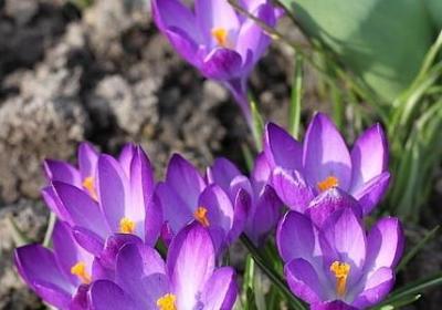 淙淙仿写词语(热门10句)