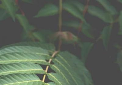 生意兴隆寓意词语店名(汇总10句)