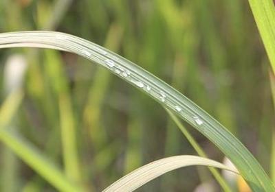 离能组什么词语(热门15句)