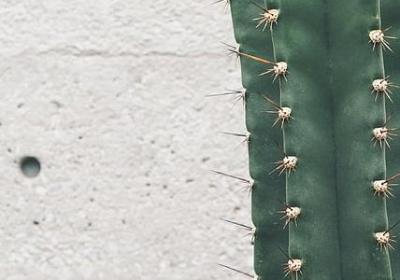 用目怎么组词语(合集36句)