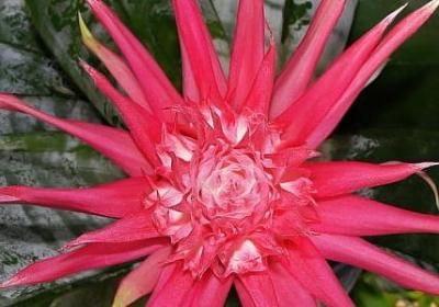 祝贺别人得奖的词语(40句)