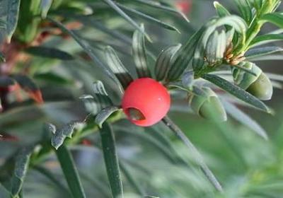 男人不行的词语(热门60句)