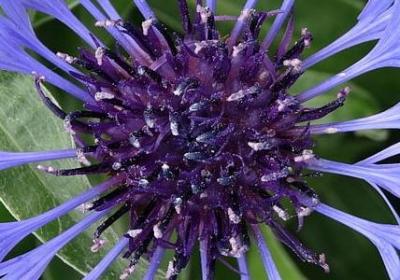 甚至词语造句(必备67句) 甚至词语造句(必备67句)