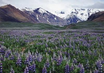 白生生照样子写词语(热门40句)