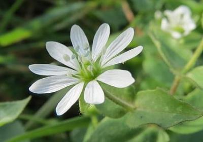 相反的词语图片(实用80句)