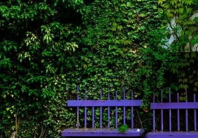 祝福毕业的词语(共40句) 祝福毕业的词语(共40句)