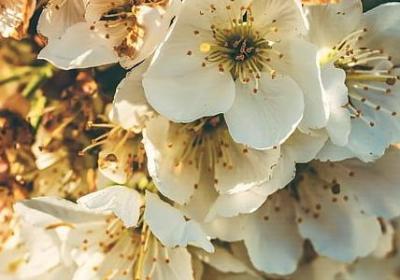 看望别人用什么词语(通用50句)