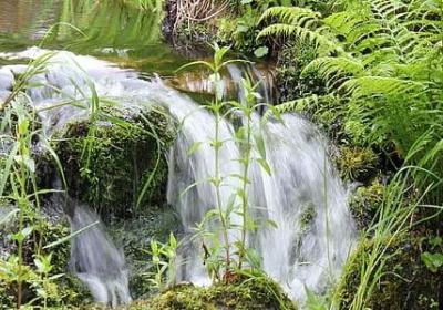 缅怀伟人的词语(热门15句)