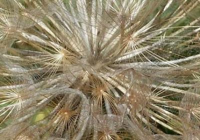 笑有哪些词语(合集20句)