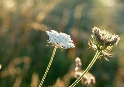 箭组词有哪些词语(推荐71句)