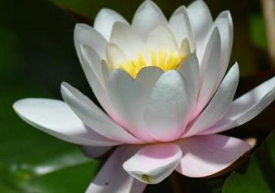 脑的组词有哪些词语(精选10句)