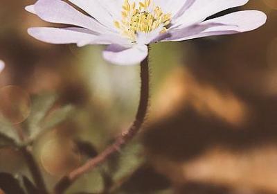 红彤彤写词语(通用50句)