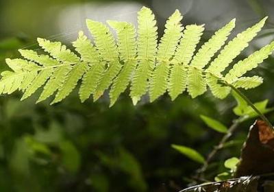 美好的爱情词语(汇总50句) 美好的爱情词语(汇总50句)