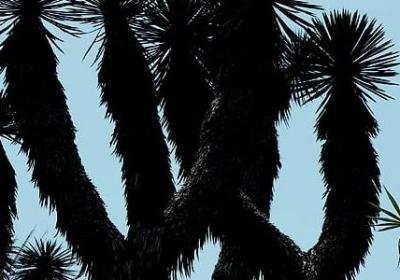 表示同学情谊的词语(共40句) 表示同学情谊的词语(共40句)