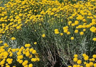 表示地震场景的词语(热门51句) 表示地震场景的词语(热门51句)