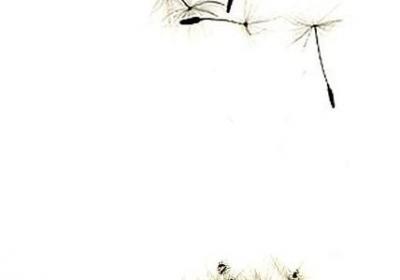 表示客气的词语(必备40句)