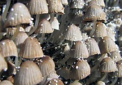 表现深厚感情的词语(必备50句)